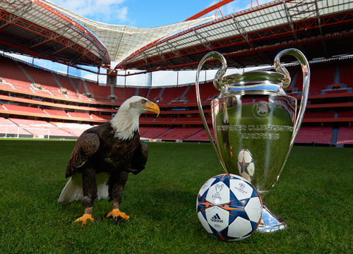 广东男篮14分大胜，奎因29+6+7+5萨姆纳首秀15分，徐昕14+7！（广东男篮+14取胜！奎因29分6板7助5断，萨姆纳首秀15分，徐昕14分7板）